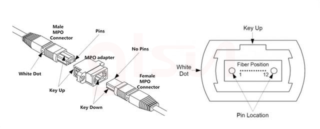 What Do You Know About MPO Fiber Patch Cords?