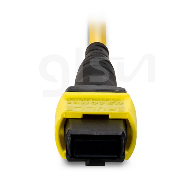 os2 sm 12 fiber mtp female to mtp female 10m fiber optic cable