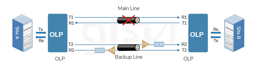 optical-protection-edfa-dcm.jpg