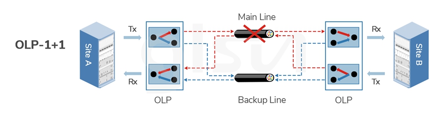 optical-protection-olp-1-1.jpg