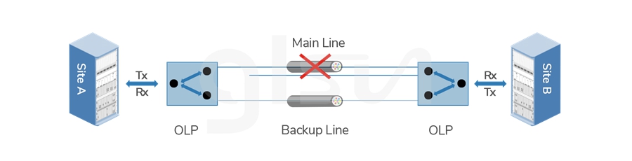 optical-protection-olp-bidi.jpg